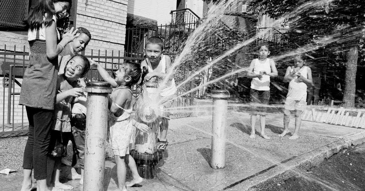 Anderson Zaca captures carnival and community at NYC's block parties