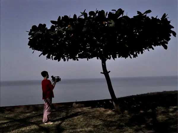 Person in red top holding camera stands beside single tree with dense canopy against blue-grey sky and water backdrop.